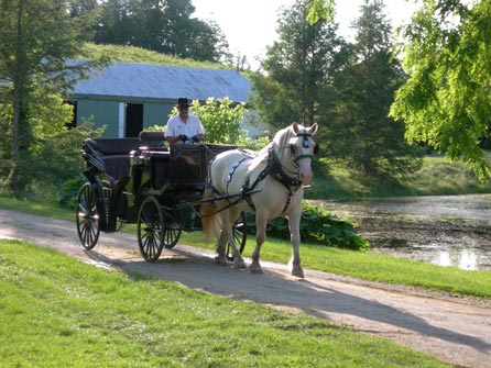A carriage from Lively's Livery.